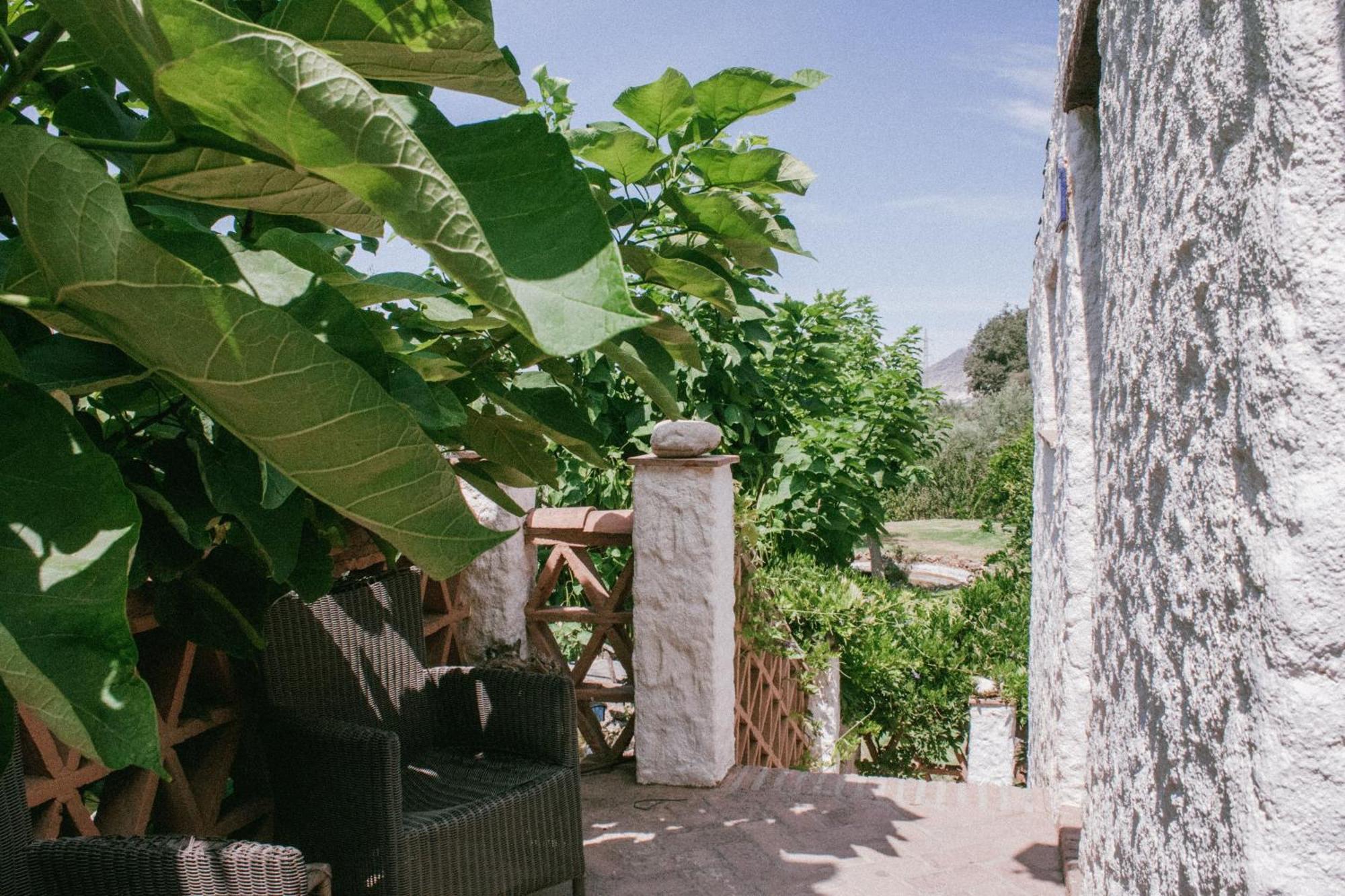 Hotel Rural Alqueria De Los Lentos Nigüelas Oda fotoğraf