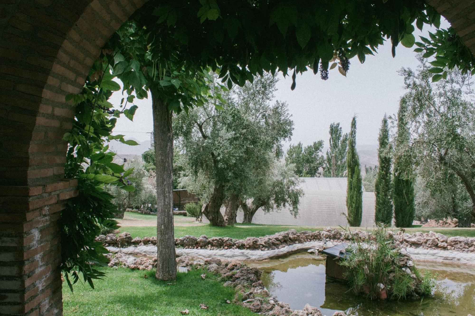 Hotel Rural Alqueria De Los Lentos Nigüelas Oda fotoğraf